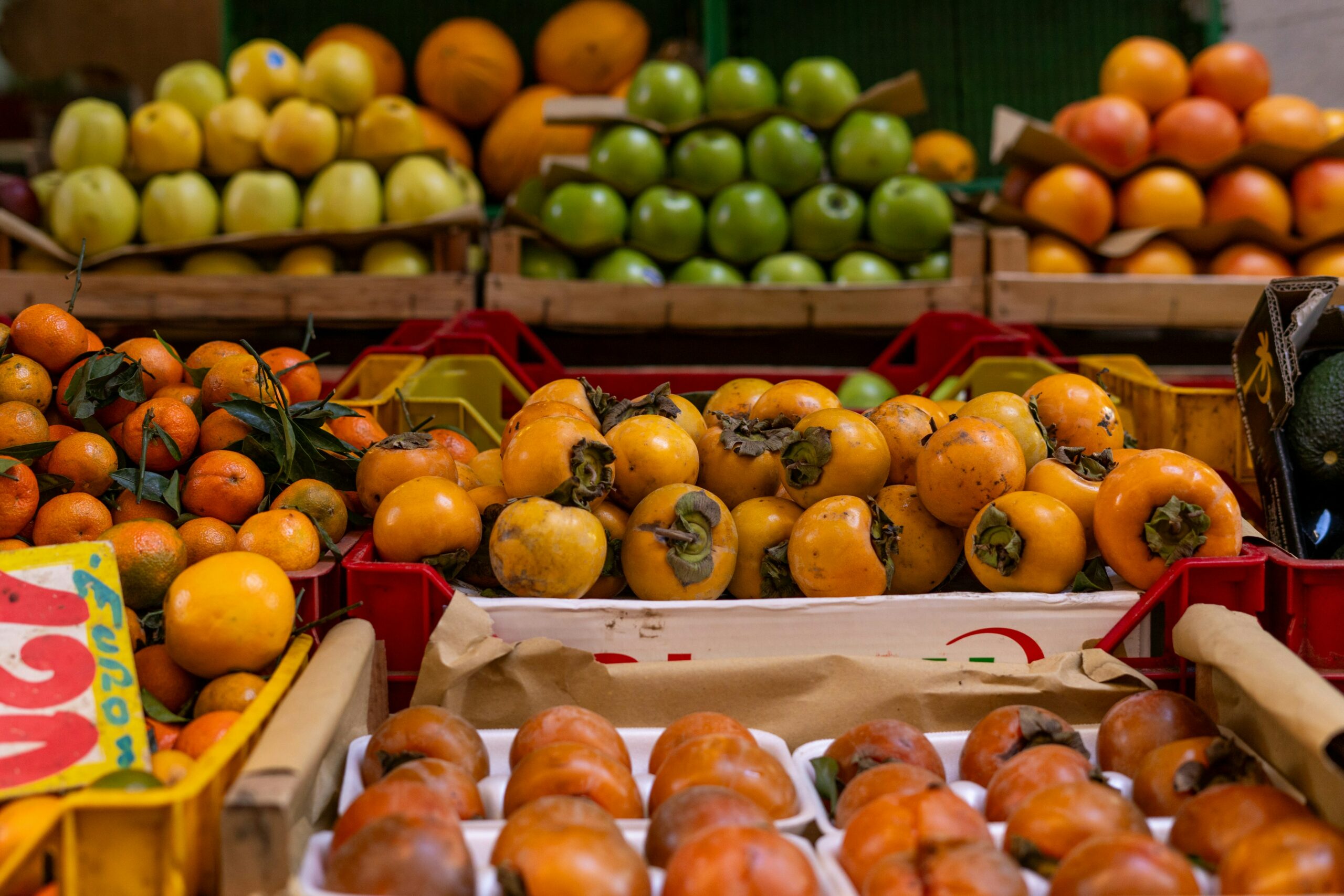 Fare agricoltura: Fatturato e Redditività