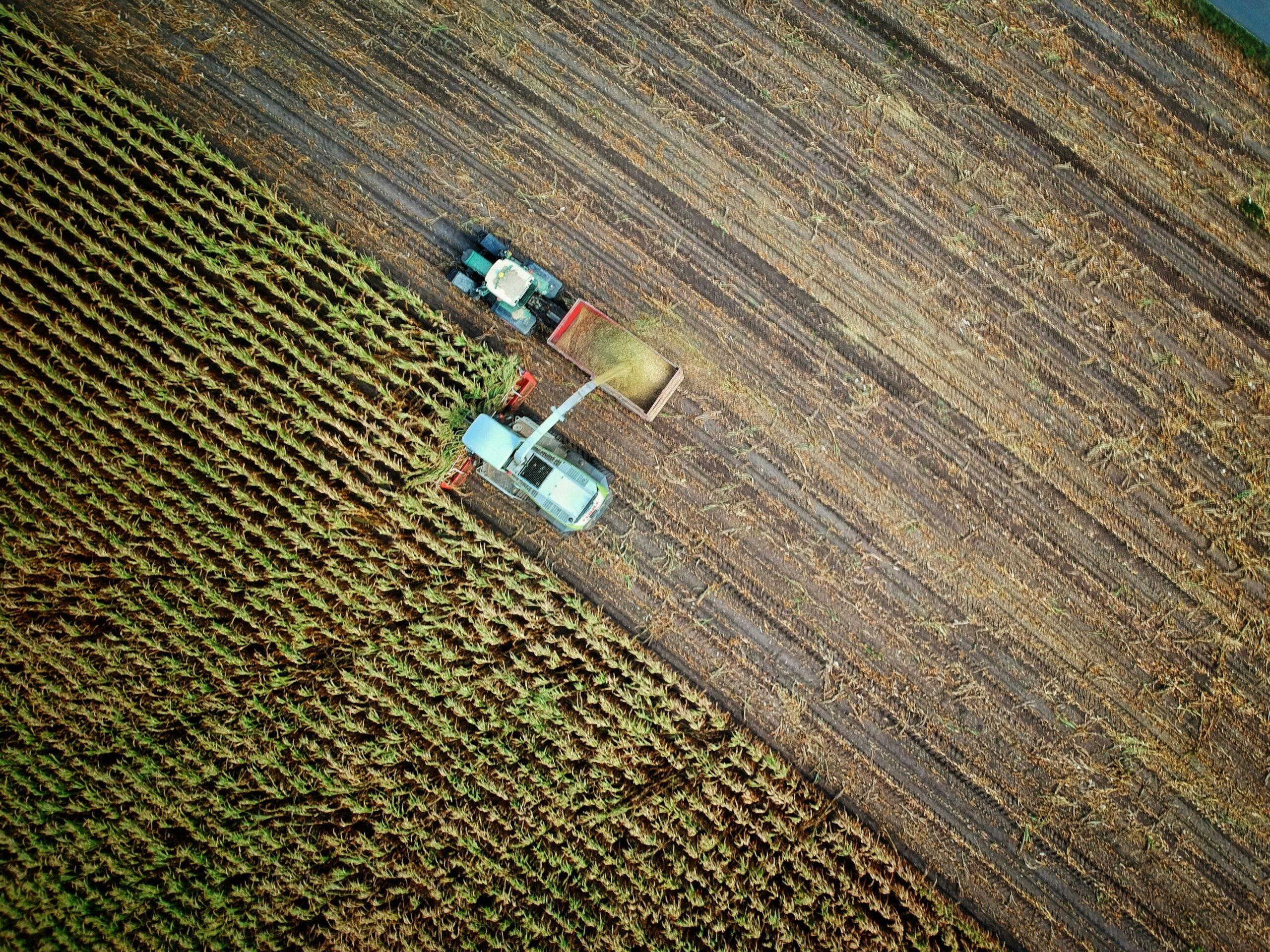 Dl Agricoltura: Novità