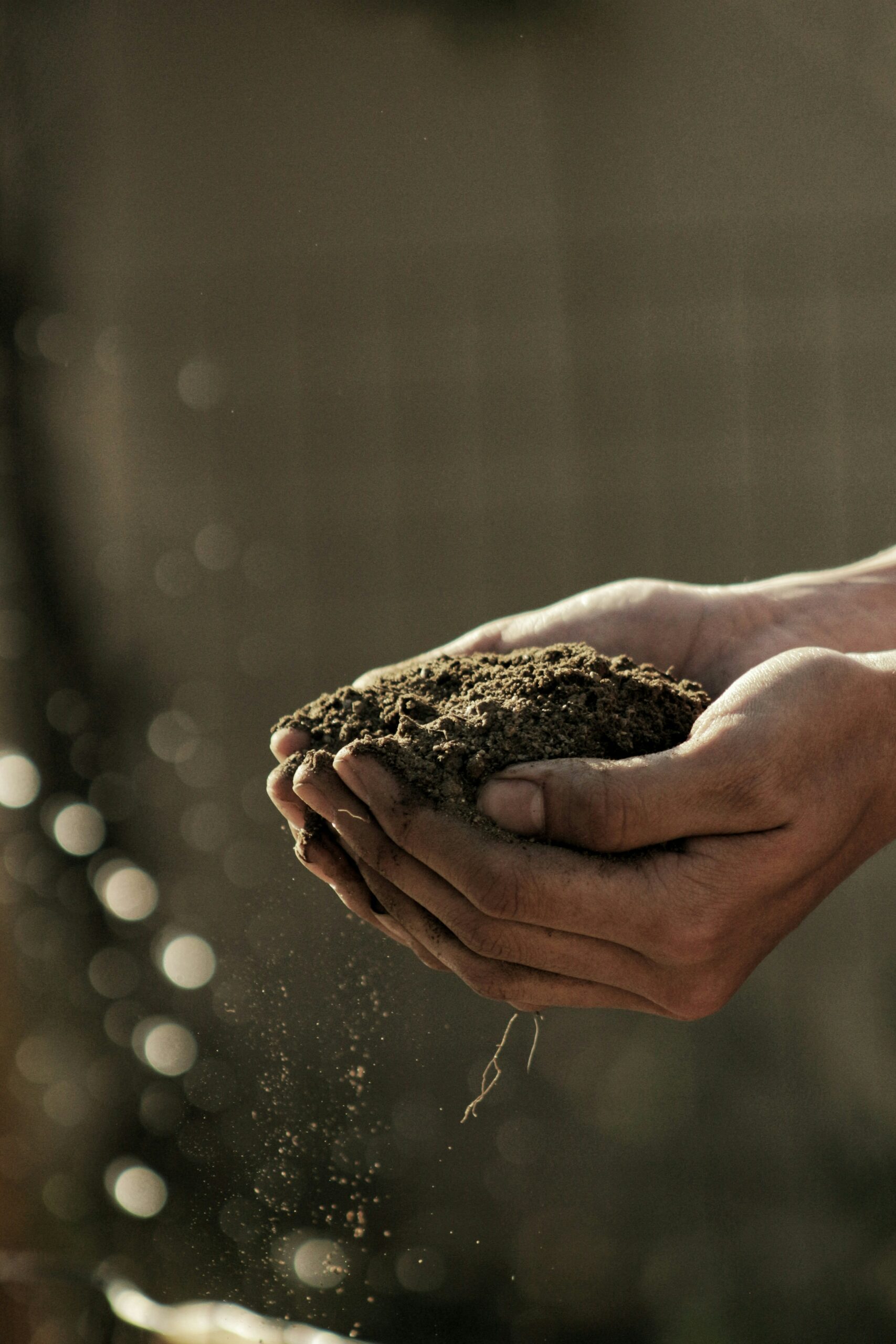 FONDO AGRICAT, due parole per capire