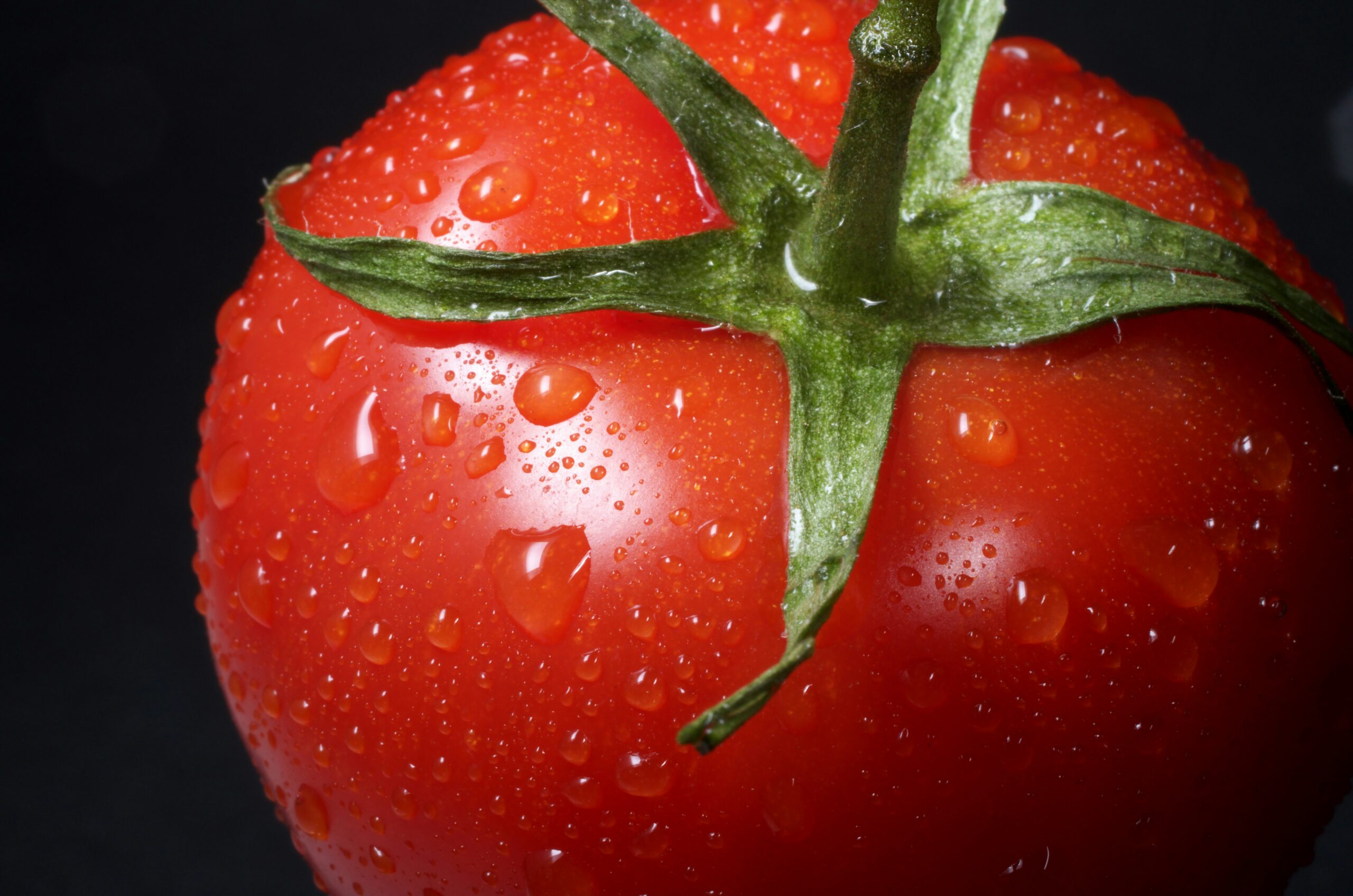 Pomodori e Ammendanti