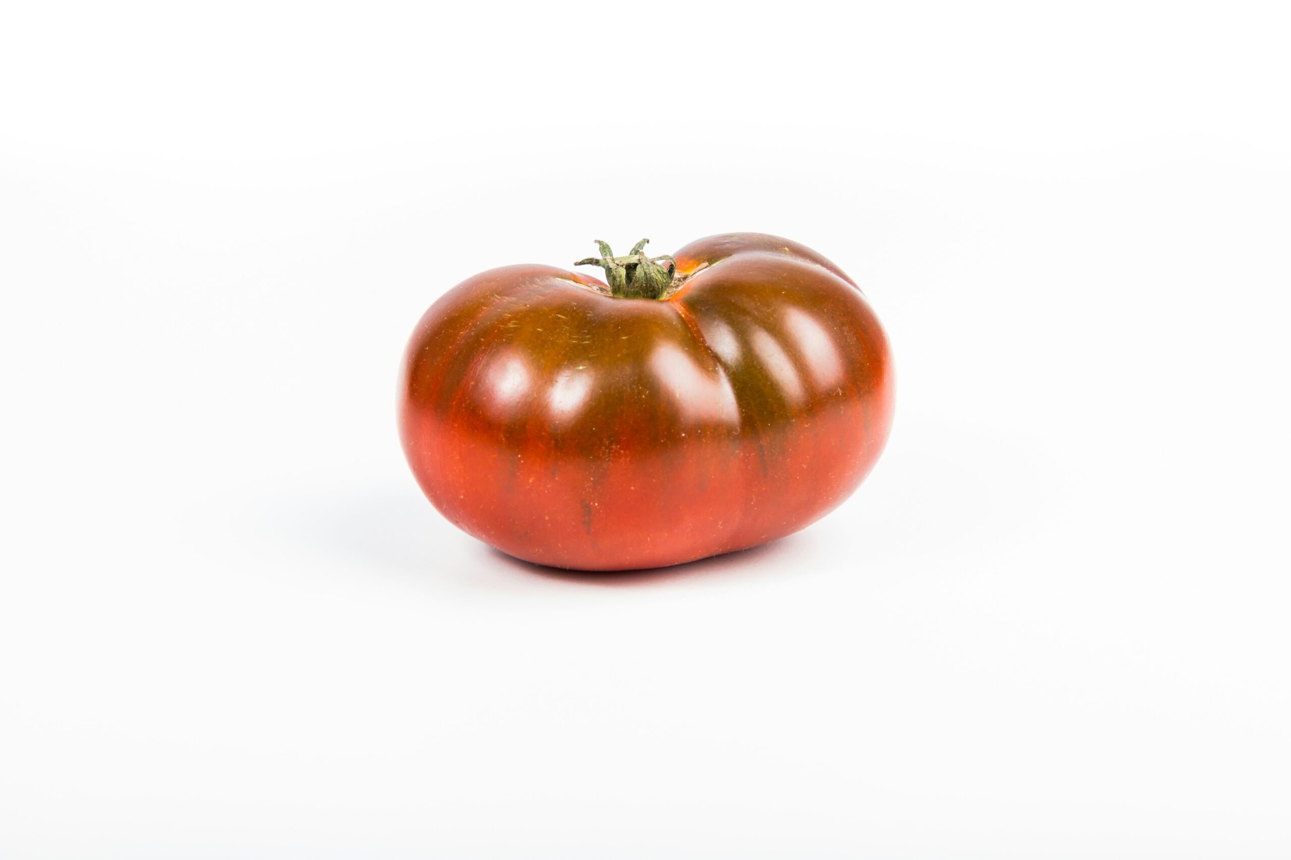 La Mosca Bianca del Pomodoro: Identificazione e Strategie di Controllo Integrato