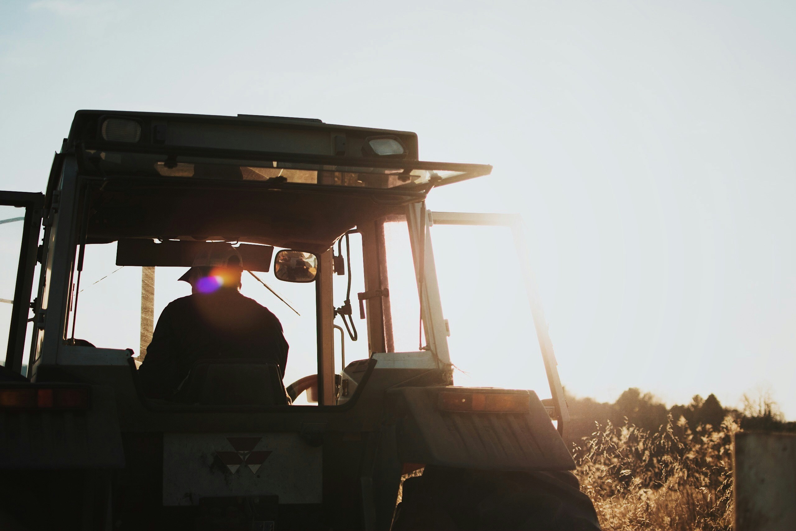 DECRETO AGRICOLTURA 2024 diventa LEGGE