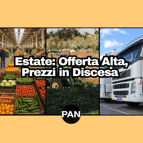 Settimana 26 – andamento del mercato ortofrutticolo – (23-29 giugno 2025)