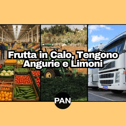 Settimana 25 – andamento del mercato ortofrutticolo – (16-23 giugno 2025)