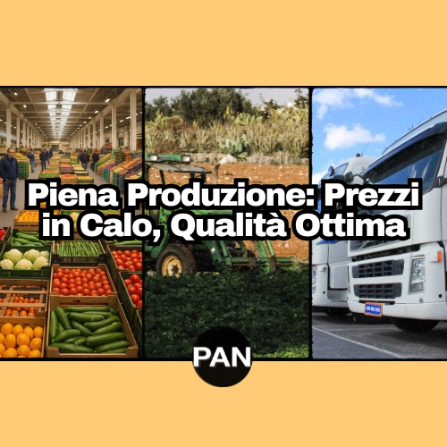 Settimana 24 – andamento del mercato ortofrutticolo – (9-15 giugno 2025)