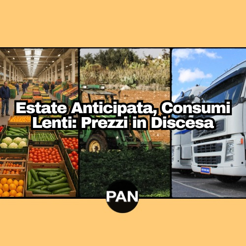 Settimana 23 – PAN analisi – (2-8 giugno 2025)