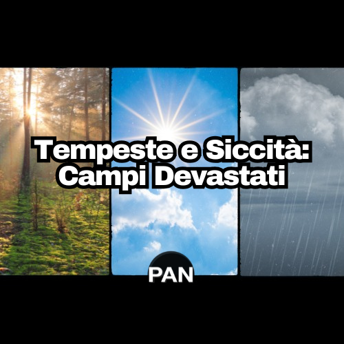 Meteo, previsioni e notizie dal campo – 18/06/2025