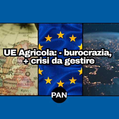 NEWS Europee – 27/06/2025 – Filiera ortofrutticola