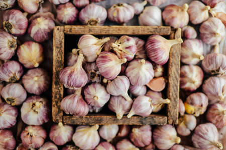 ASCOLTA🎧​: Aglio: Il Mercato delle Montagne Russe!