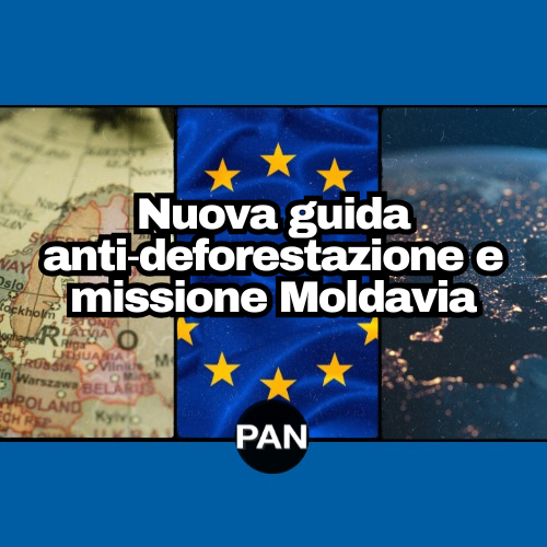 Nuova guida anti‑deforestazione e missione Moldavia