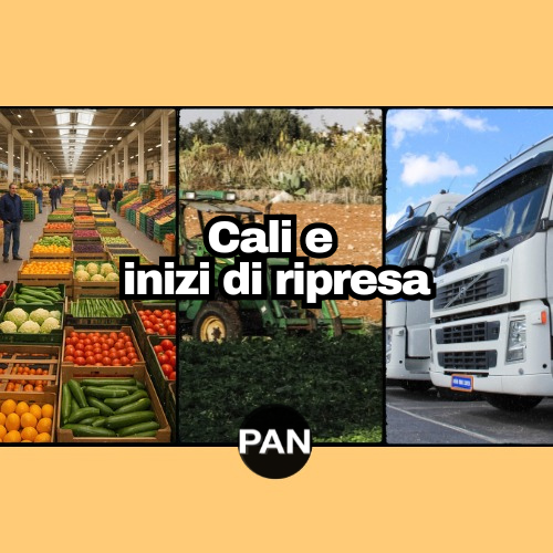 Cali e iniziali riprese