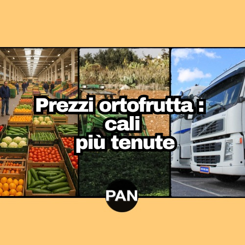 Prezzi ortofrutta : cali più tenute