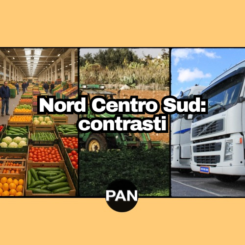 Nord centro sud : contrasti