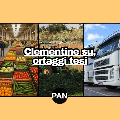 Clementine su, ortaggi tesi
