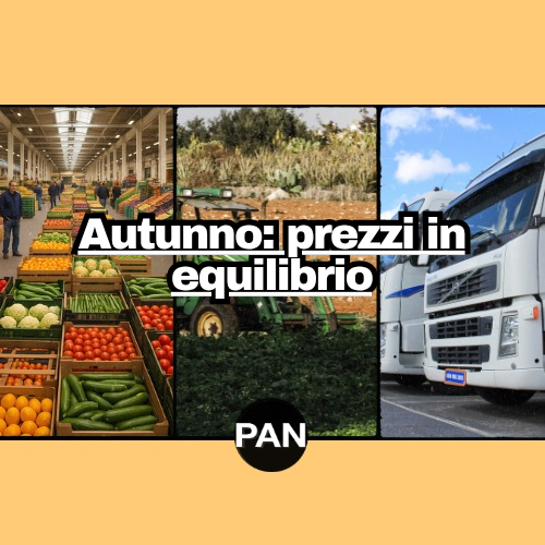 Autunno: prezzi in equilibrio