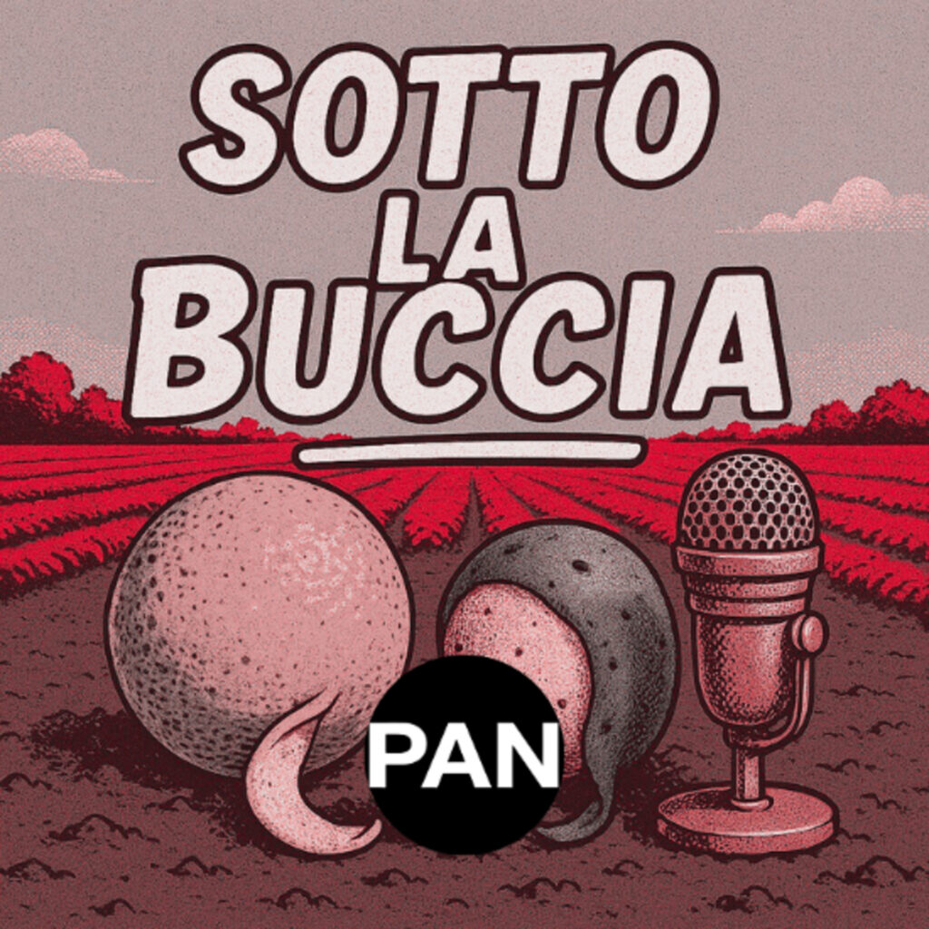 Clementine e mandarini: l’inverno che cambia – CompraVendita PAN n. 18