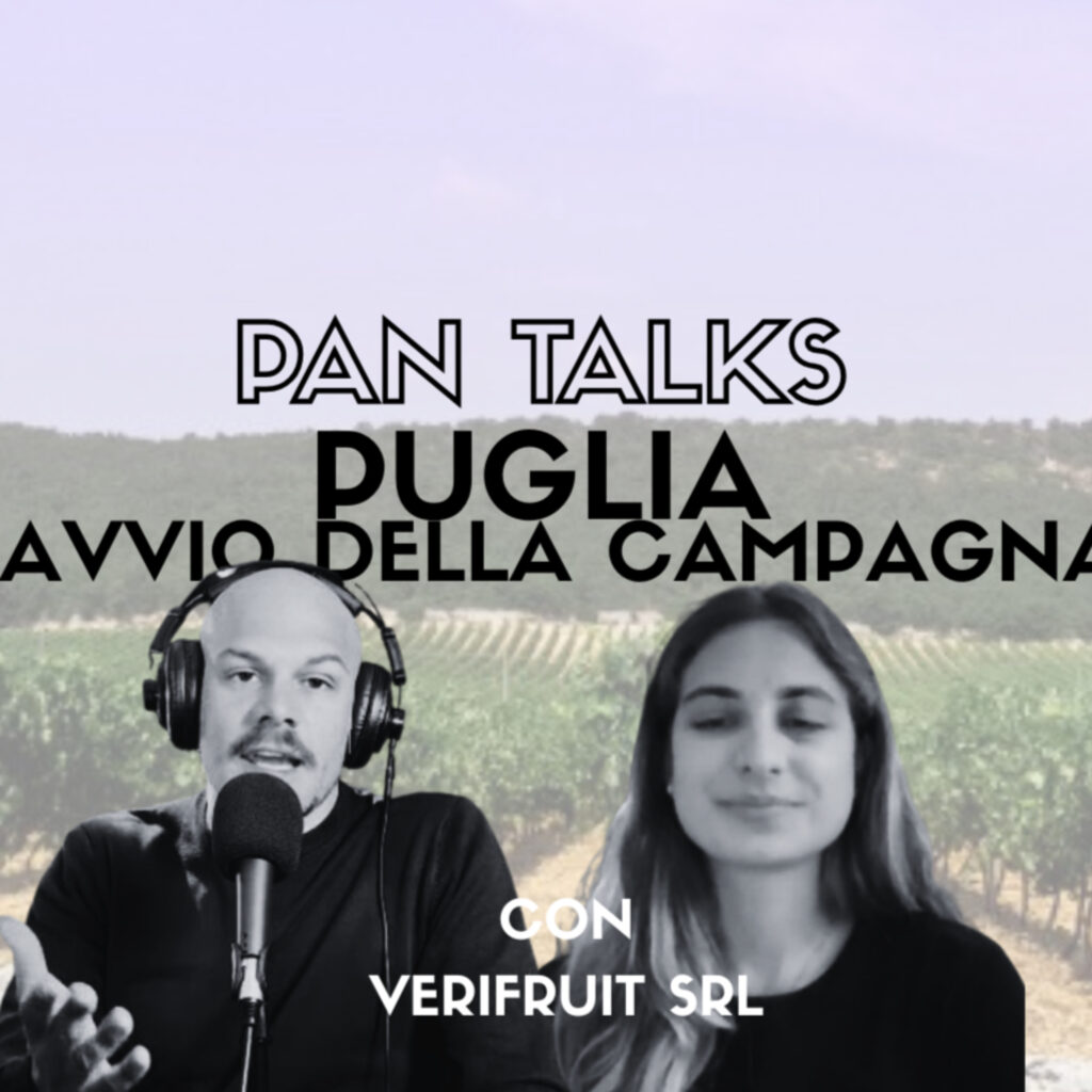 PAN Talks – Puglia, L’avvio della campagna con Francesca, Verifruit