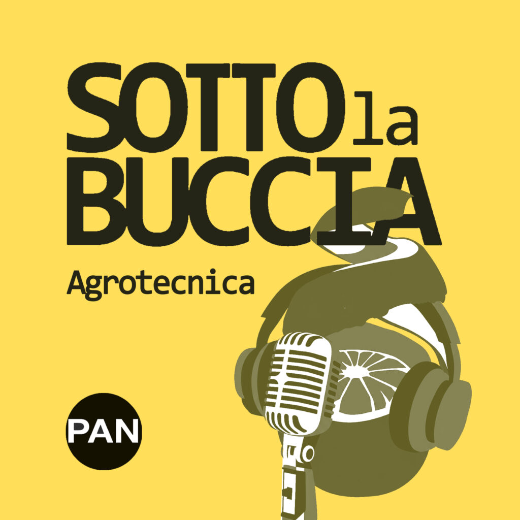 Azotofissatori batterici: come gestire l’azoto senza eccessi – Agrotecnica