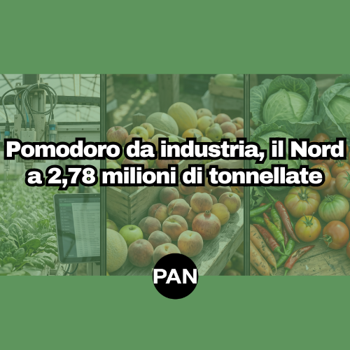 POMODORO DA INDUSTRIA, IL NORD È A 2,78 MILIONI DI TONNELLATE CON IL 15% ANCORA IN CAMPO