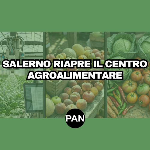 SALERNO RIAPRE IL CENTRO AGROALIMENTARE: 9,85 MILIONI, 324 GIORNI E UN MERCATO QUASI AUTOSUFFICIENTE