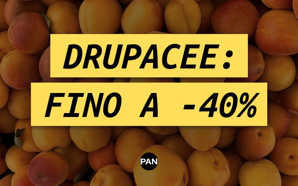 DRUPACEE, AL PRODUTTORE FINO A -40%: PESCHE GIALLE E ALBICOCCHE A -35%