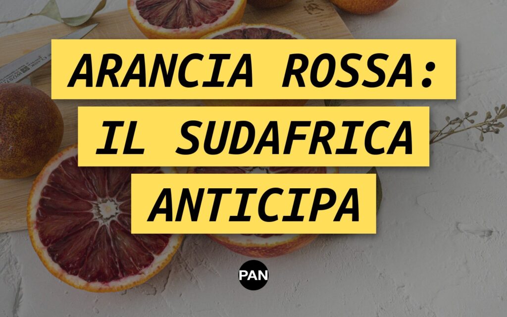 Arancia rossa, il Tarocco sudafricano è già sui banchi