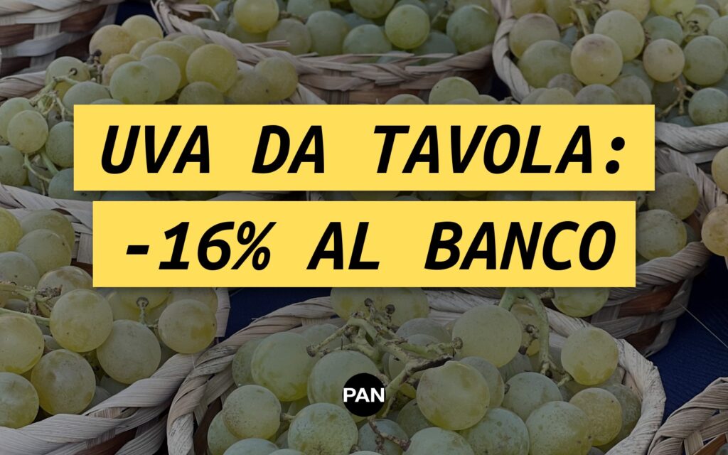 UVA DA TAVOLA, A SETTEMBRE IL BANCO PERDE IL 16% E L’INGROSSO CEDE ANCORA