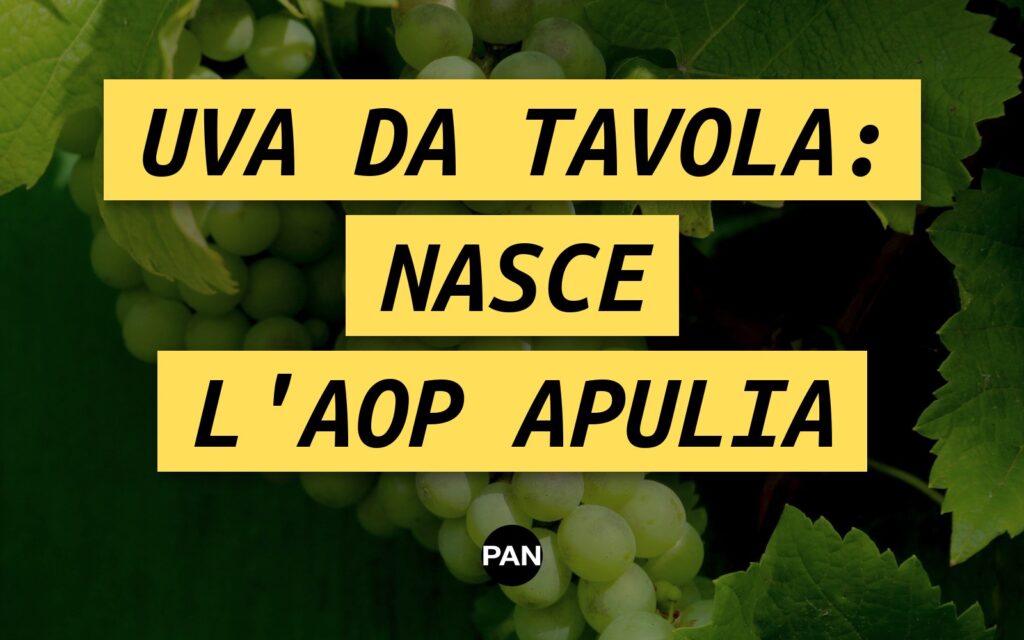 Uva da tavola, nasce l’Aop Apulia